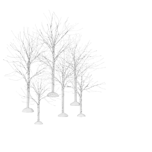 Winter Birch | Department 56