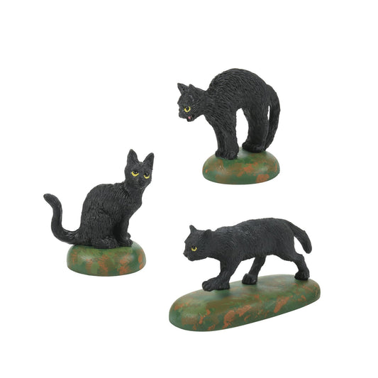A Clowder Of Black Cats | Department 56