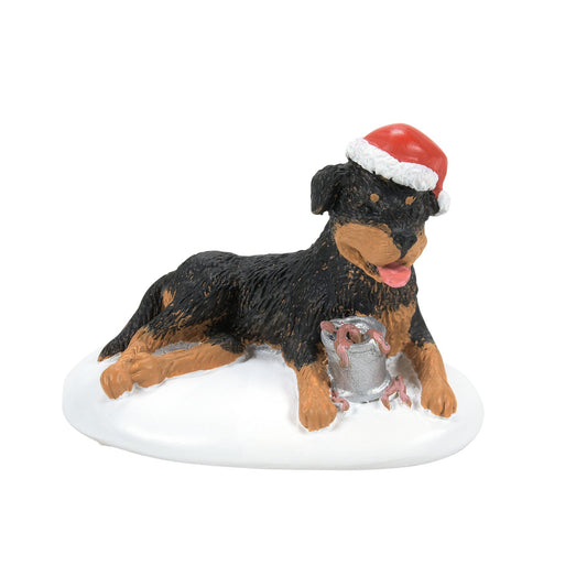 A Perfect Gift For Snots | Department 56